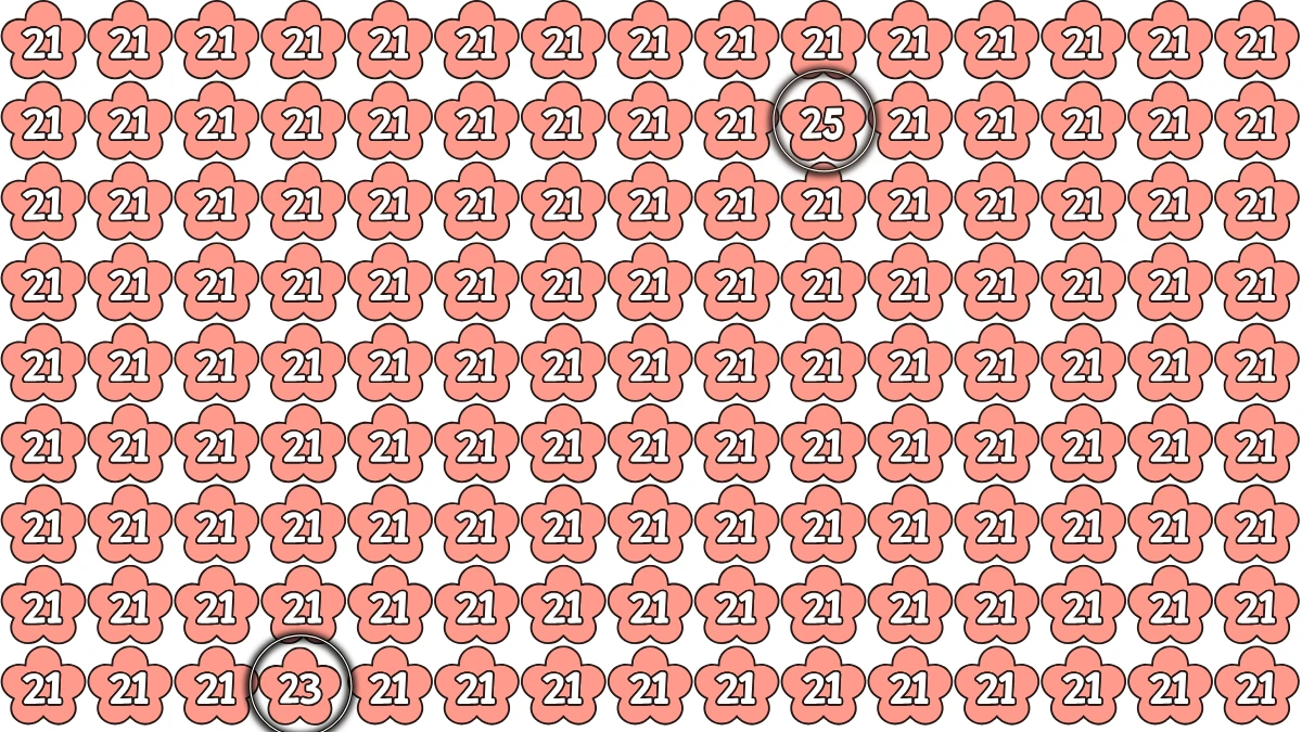 Optical Illusion Eye Test Challenge: Within 8 Seconds Spot The Number 23 and 25 among 21