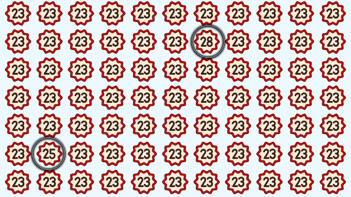Optical Illusion Eye Test Challenge: Within 8 Seconds Spot The Number 25 and 28 among 23