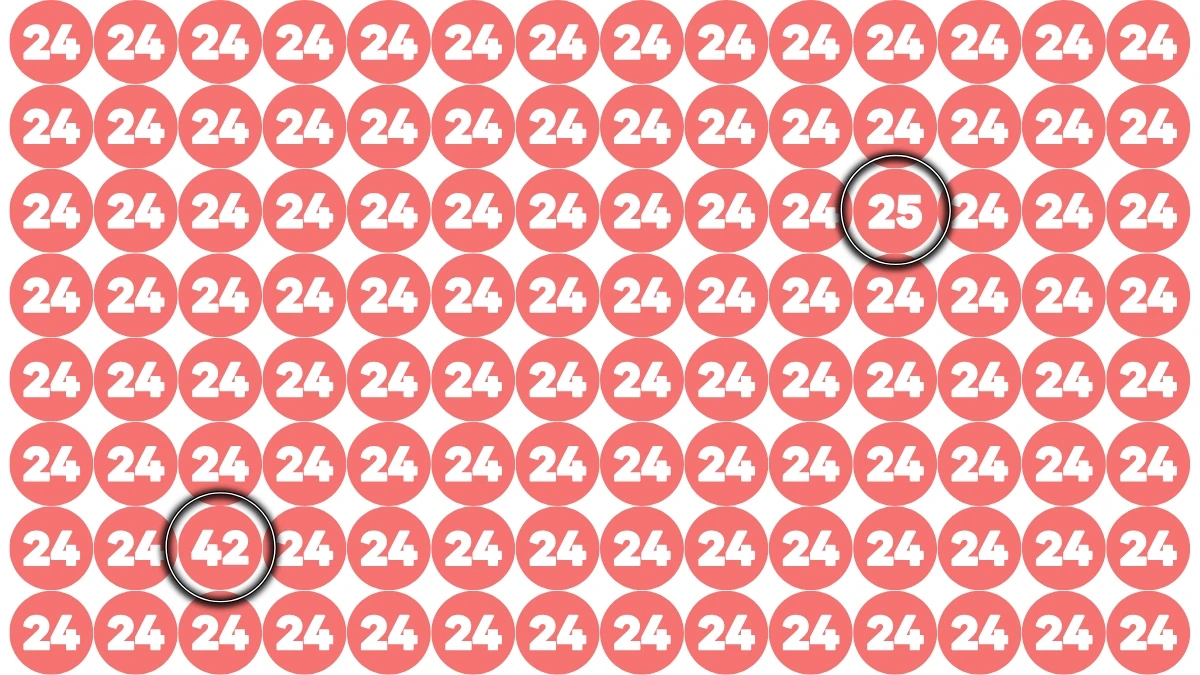 Optical Illusion Eye Test Challenge: Within 8 Seconds Spot The Number 25 and 42 among 24