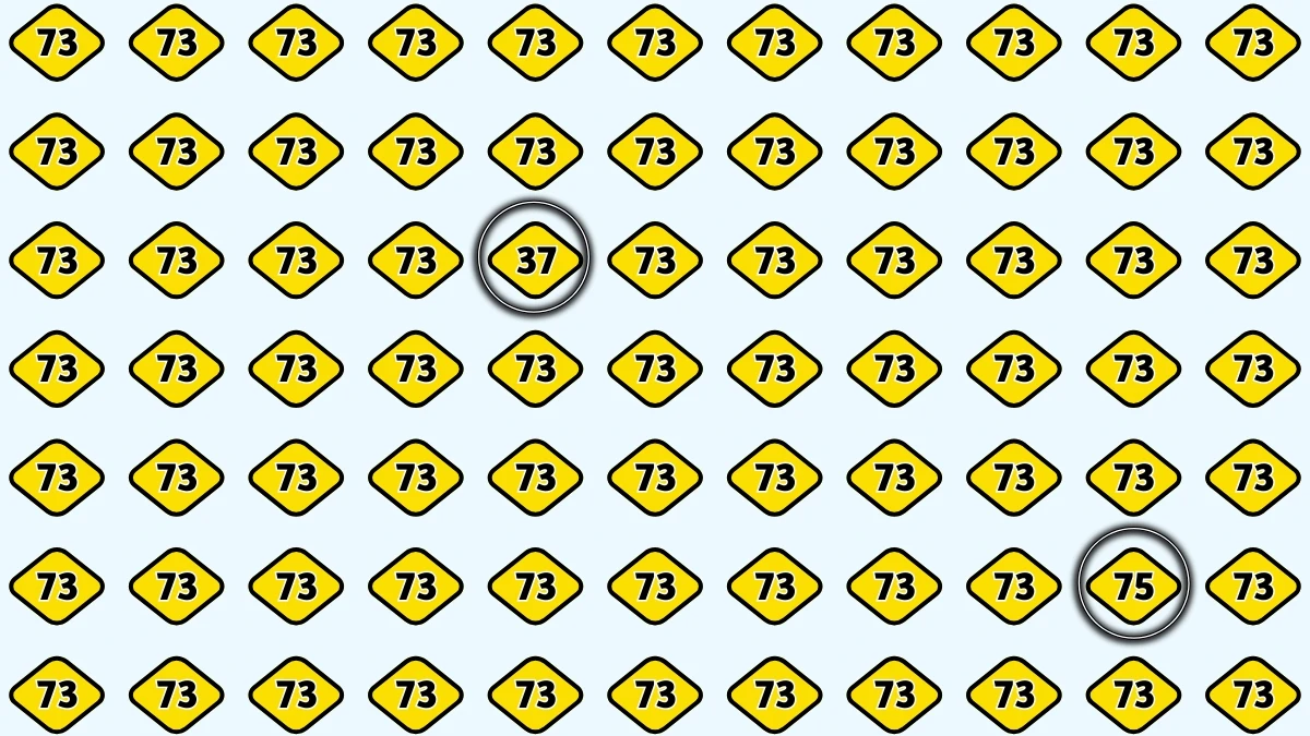 Optical Illusion Eye Test Challenge: Within 8 Seconds Spot The Number 37 and 75 among 73