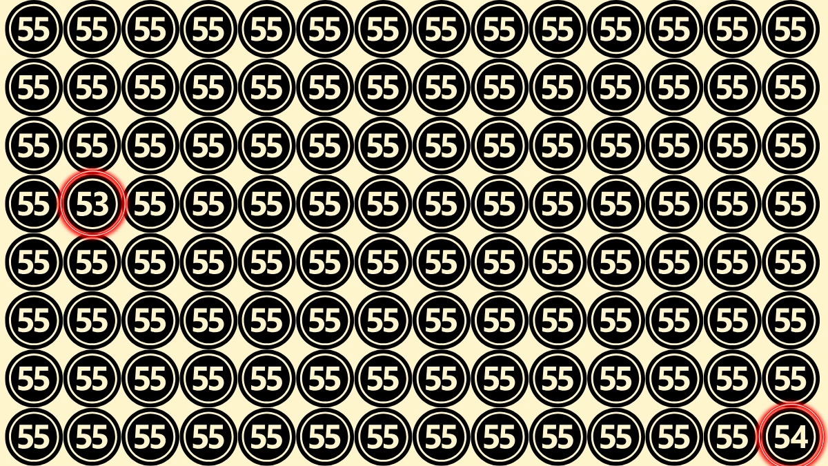 Optical Illusion Eye Test Challenge: Within 8 Seconds Spot The Number 53 and 54 among 55