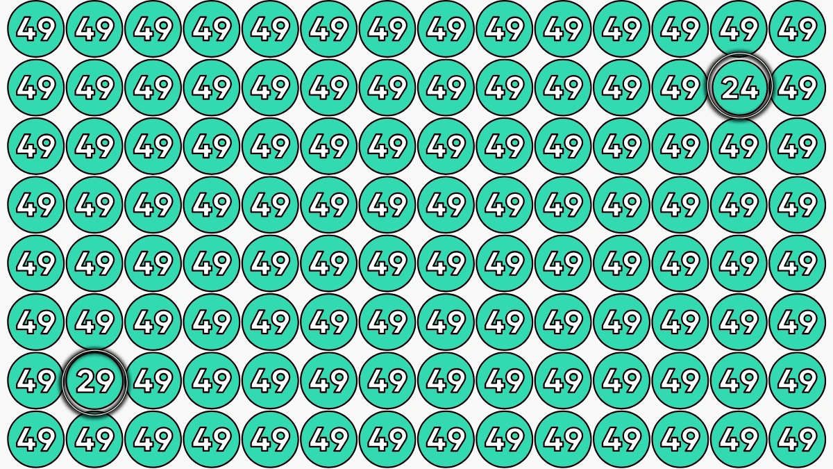 Optical Illusion Eye Test Challenge: Within 9 Seconds Spot The Number 24 and 29 among 49