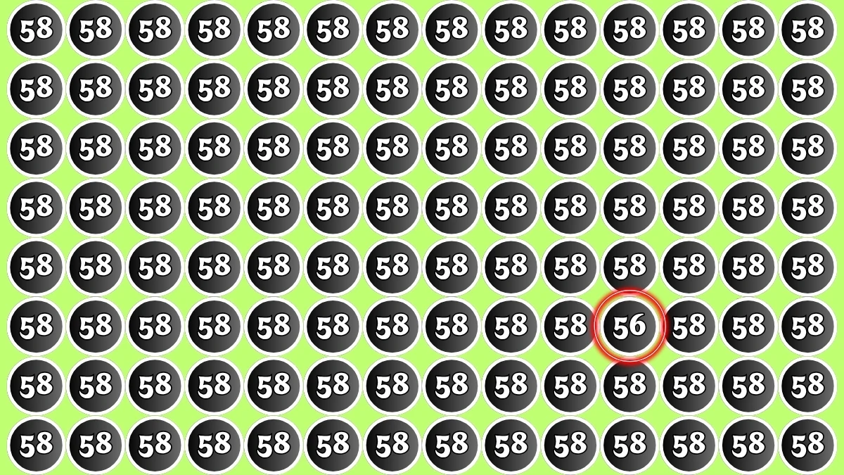 Optical Illusion Find it Out: Within 5 Seconds Spot The Number 56 among 58