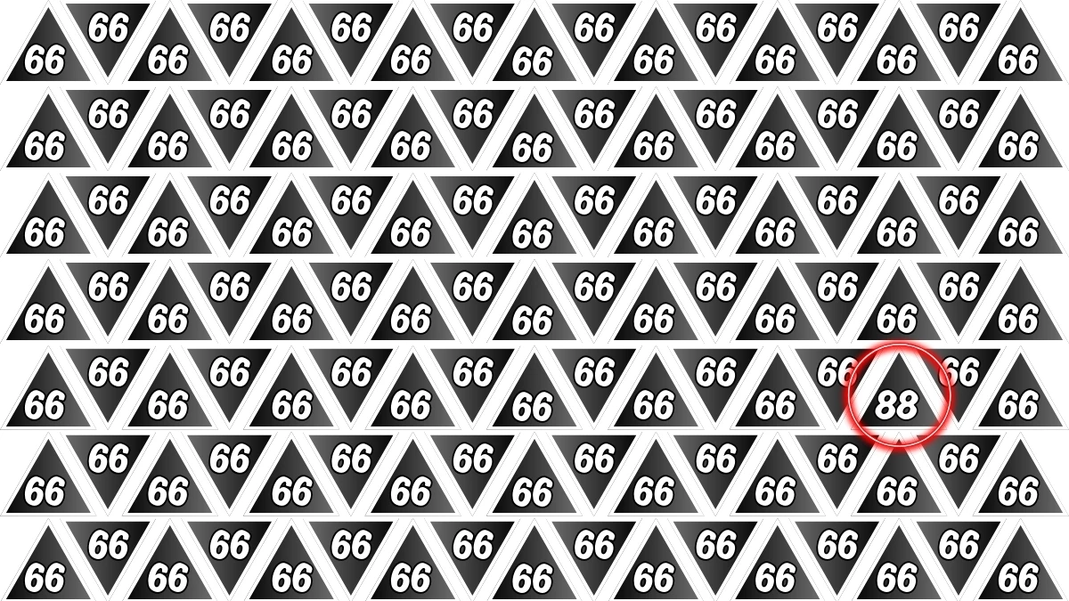 Optical Illusion Find it Out: Within 5 Seconds Spot The Number 88 among 66
