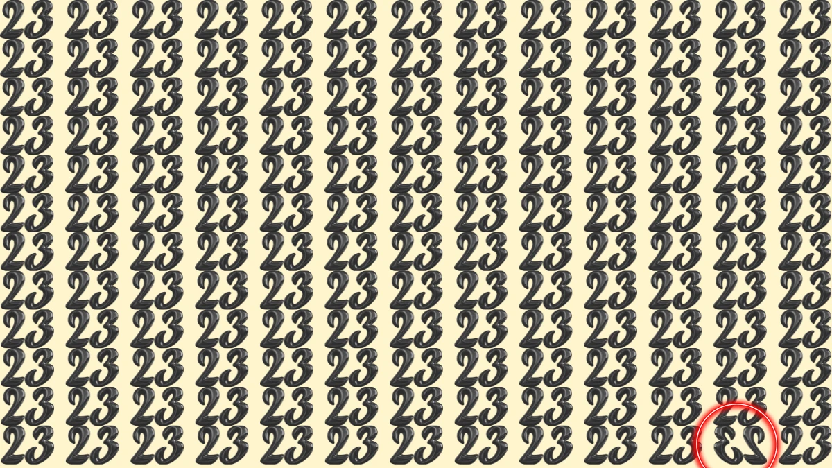 Optical Illusion IQ Test: Are You A Genius? Within 5 Seconds Spot The Inverted 23 among 23