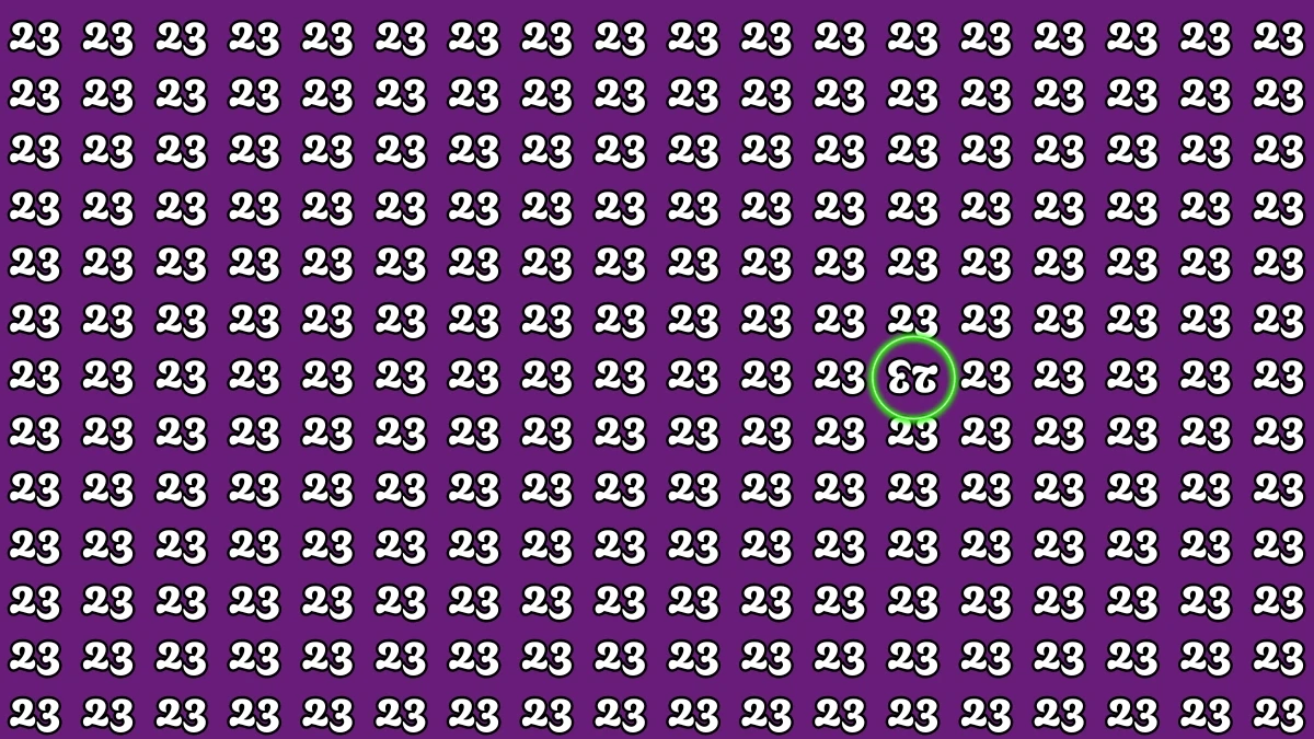 Optical Illusion IQ Test: Are You A Genius? Within 5 Seconds Spot The Inverted 23 among 23