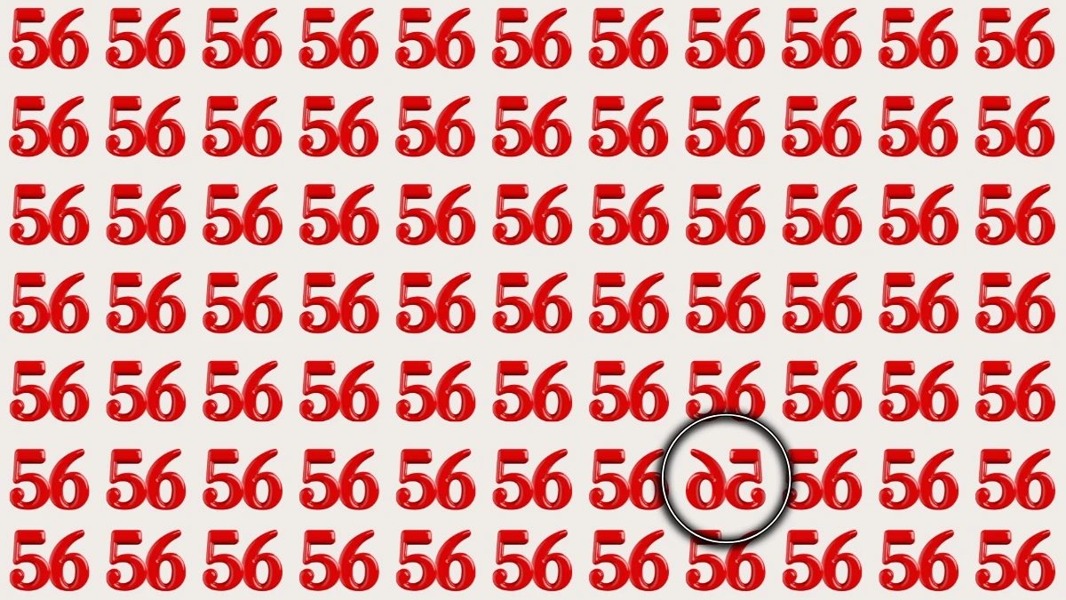 Optical Illusion IQ Test: Are You A Genius? Within 5 Seconds Spot The Inverted 56 among 56