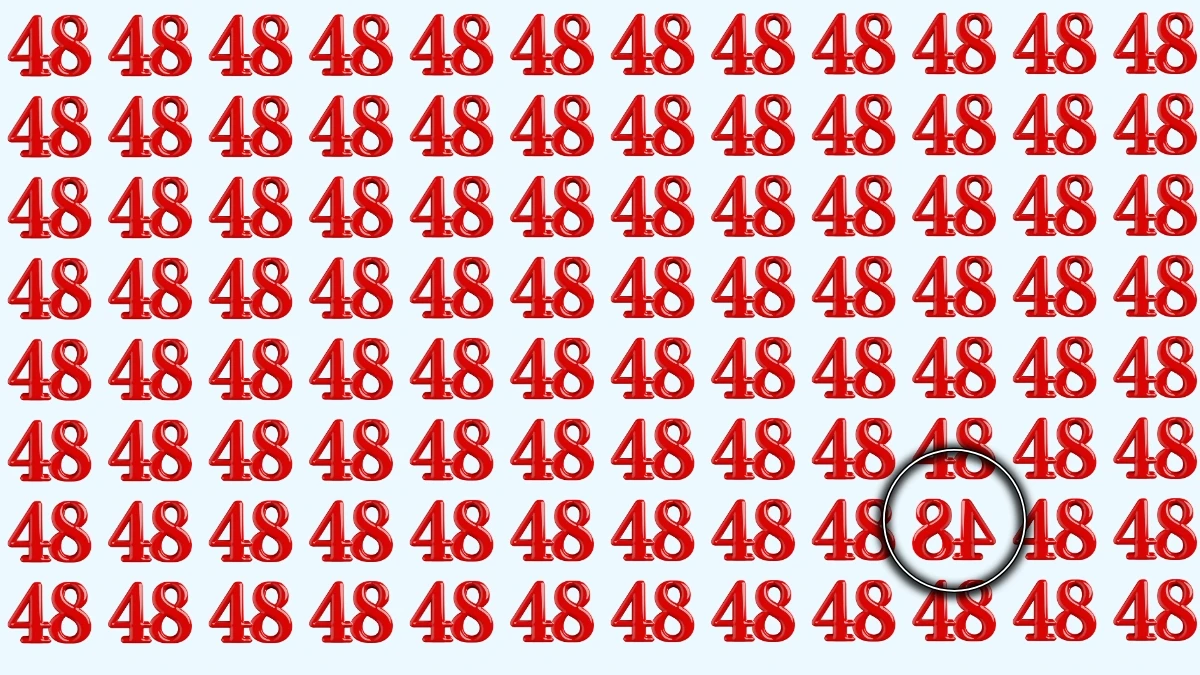 Optical Illusion IQ Test: Are You A Genius? Within 6 Seconds Spot The Inverted 48 among 48