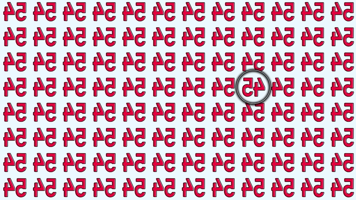 Optical Illusion IQ Test: Are You A Genius? Within 8 Seconds Spot The Inverted 45 among Inverted 54