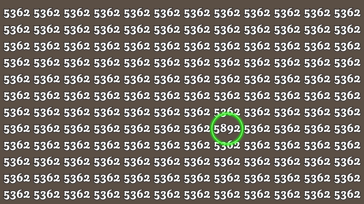 Optical Illusion Puzzle IQ Test: Within 6 Seconds Spot The Number 5892 among 5362