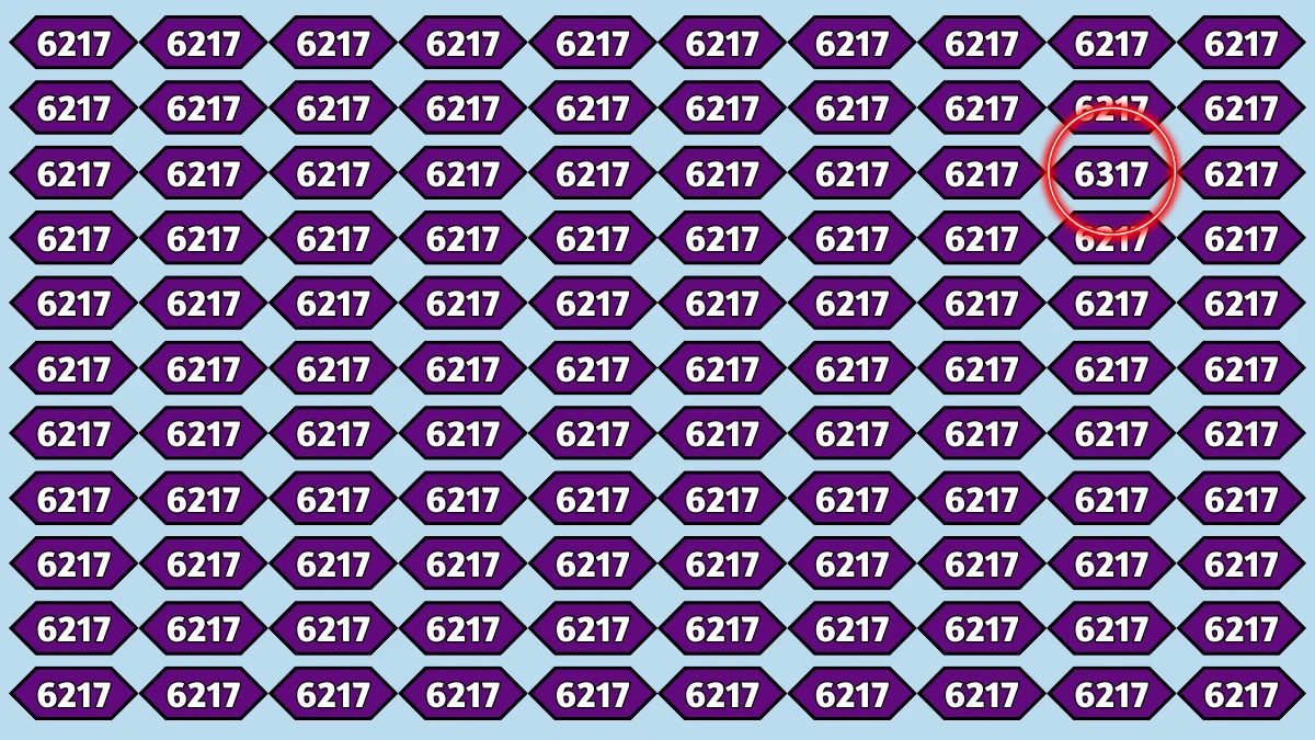 Optical Illusion Puzzle IQ Test: Within 6 Seconds Spot The Number 6317 among 6217