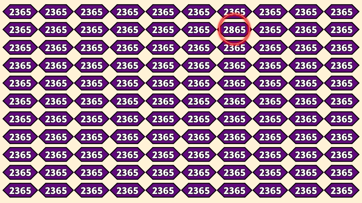 Optical Illusion Puzzle IQ Test: Within 9 Seconds Spot The Number 2865 among 2365