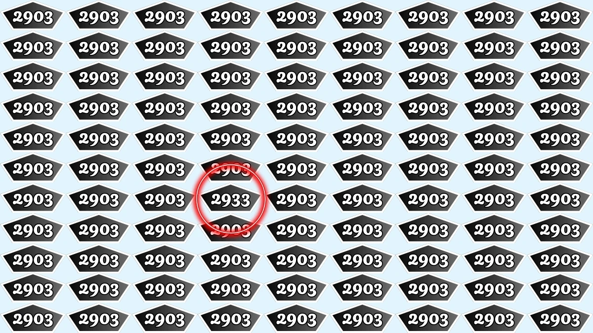 Optical Illusion Puzzle IQ Test: Within 9 Seconds Spot The Number 2933 among 2903
