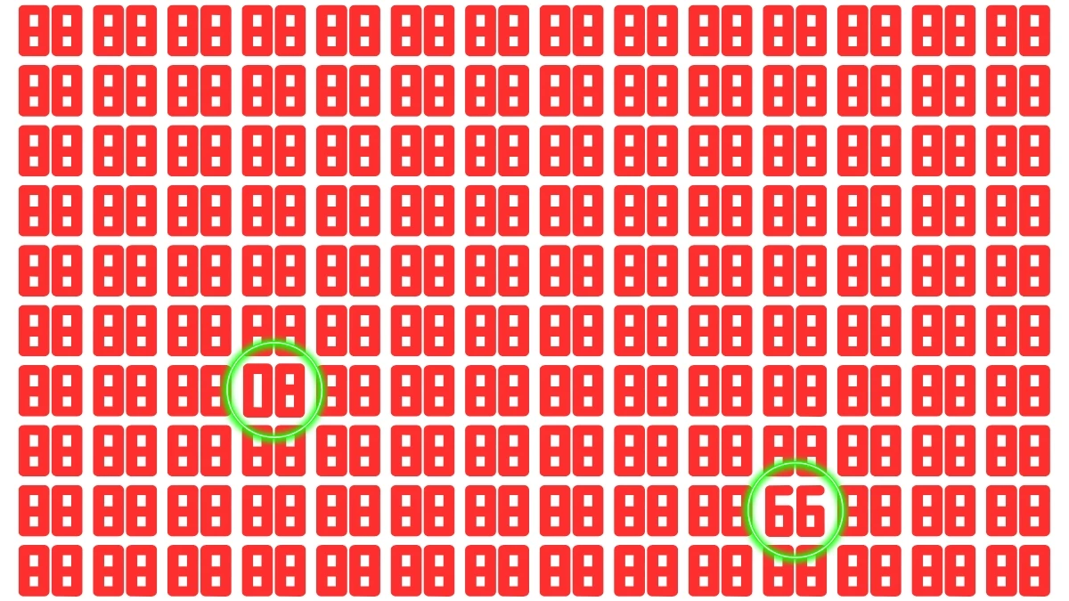 Optical Illusion: Within 10 seconds Spot the Number 08 and 66 among 88