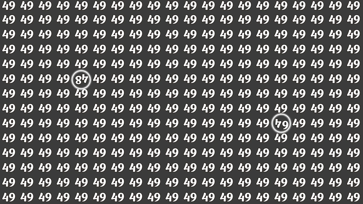 Optical Illusion: Within 8 Seconds Spot The Inverted Number 64 and 48 among 49