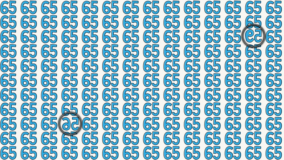 Optical Illusion: Within 9 Seconds Spot The 2 Inverted Numbers among 65s