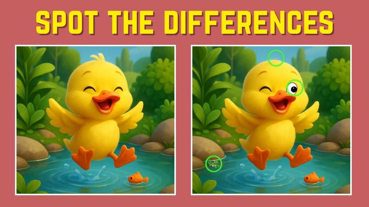 Picture Puzzle IQ Test: Prove Your Intelligence By Finding The 3 Differences in this Duck Image in 10 Secs