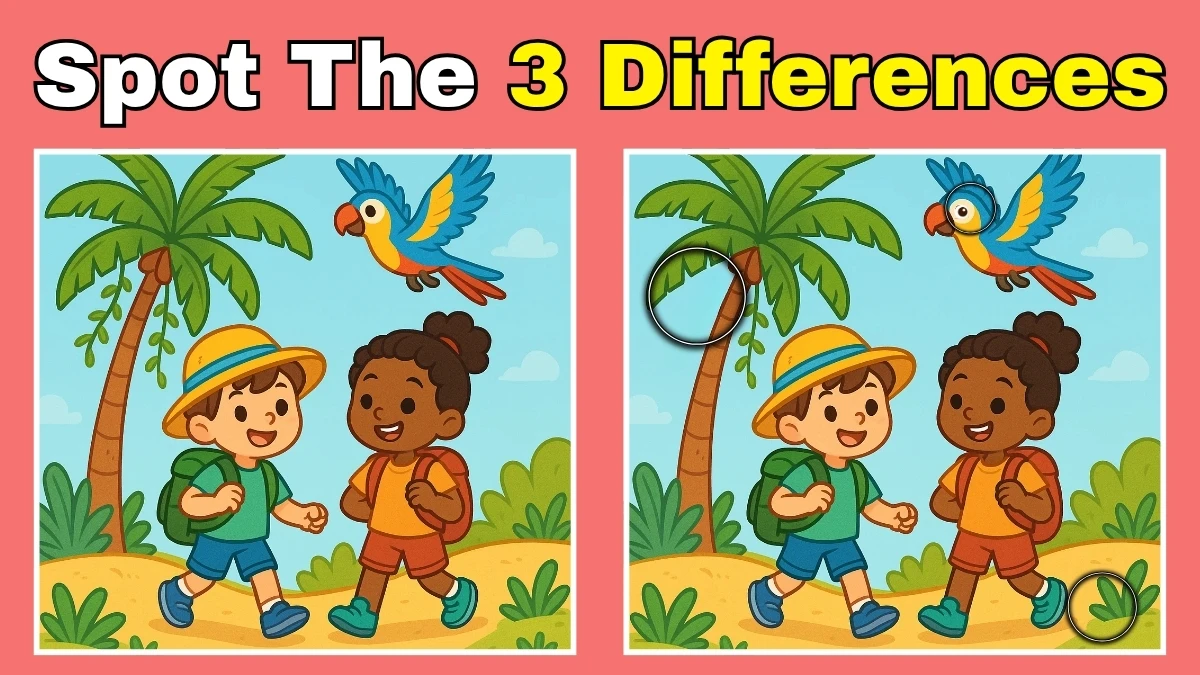 Spot 3 differences between the two pictures in 15 seconds. Test your observation skills