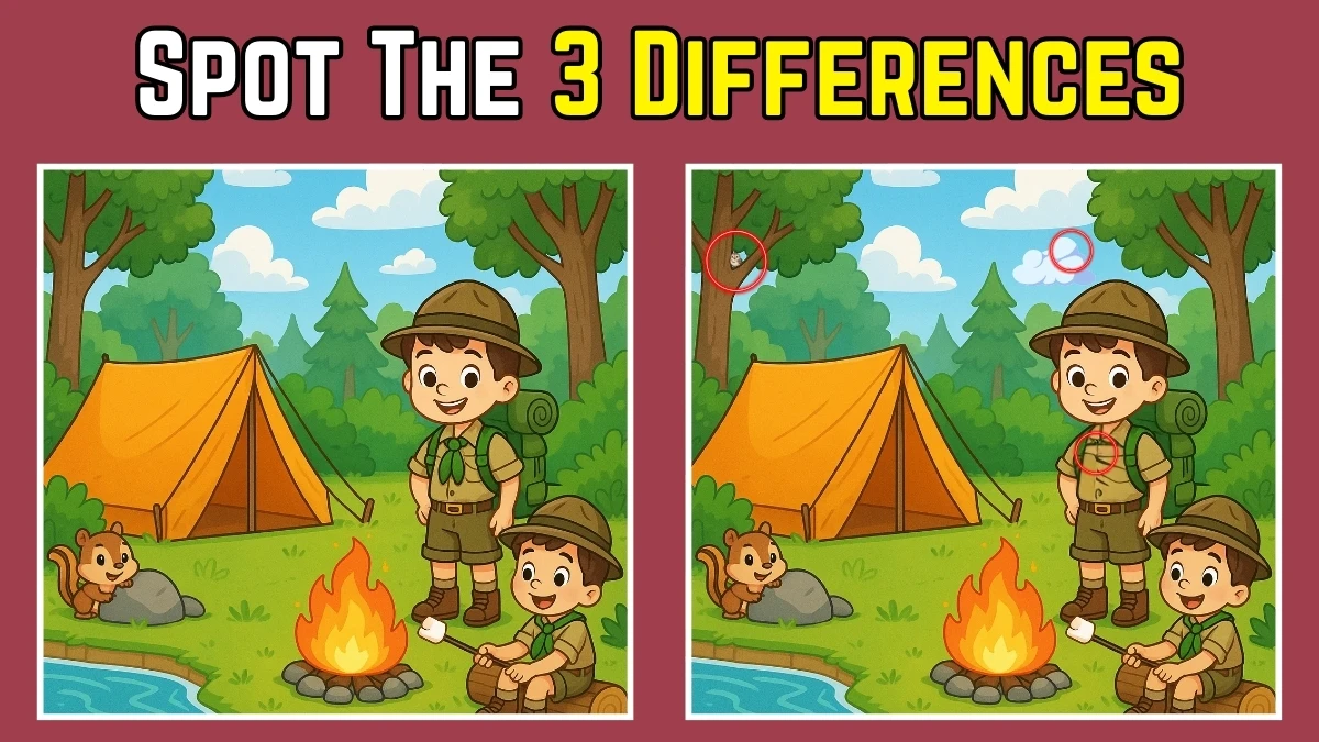 Spot 3 Differences in Camping Image - Can You Find Them in 12 Seconds