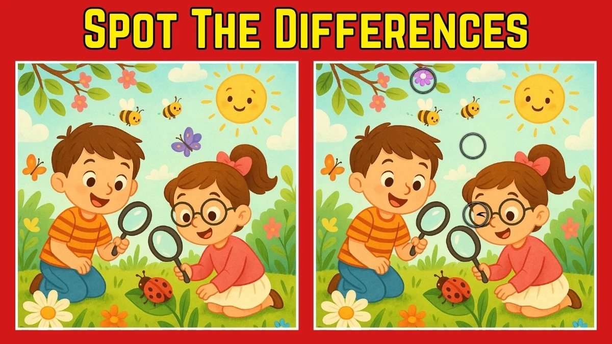 Spot 3 Differences in childrens Image - Can You Find Them in 12 Seconds
