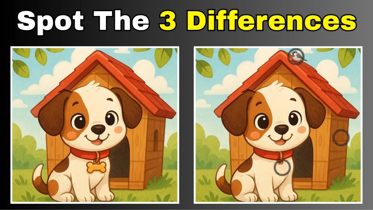Spot 3 Differences in Dog Image - Can You Find Them in 12 Seconds