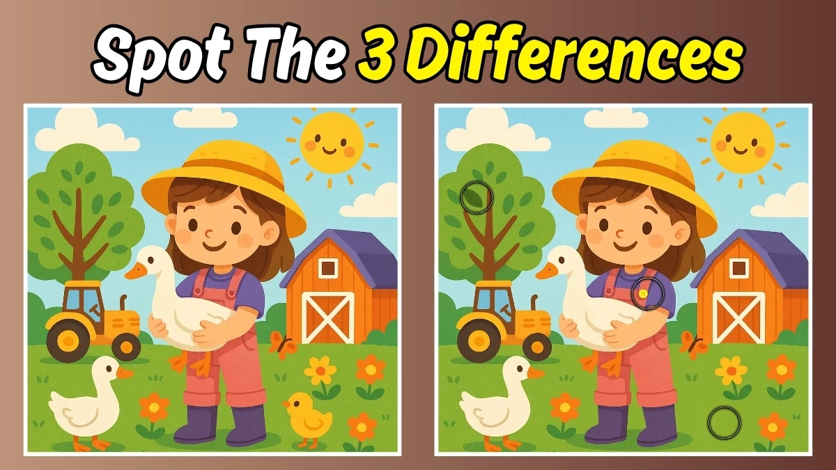 Spot 3 Differences in Farm Image - Can You Find Them in 12 Seconds