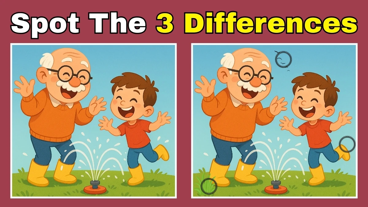 Spot 3 Differences in Grandpa Image - Can You Find Them in 10 Seconds
