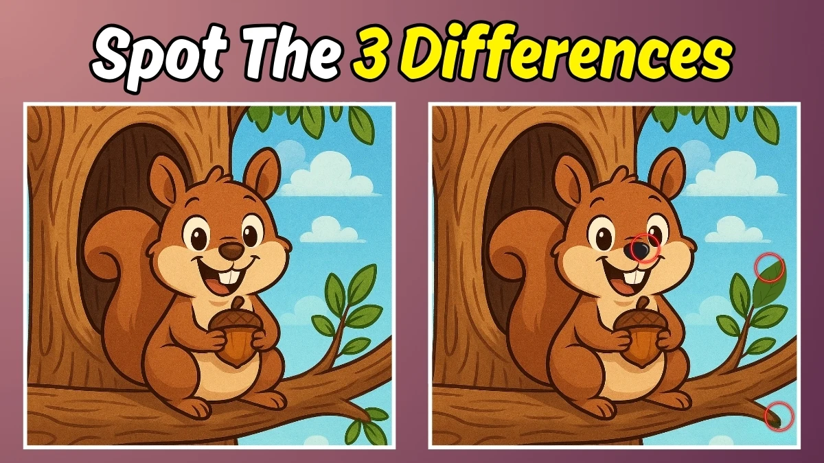 Spot the 3 Hidden Changes in This Squirrel Image – 12-Second Challenge
