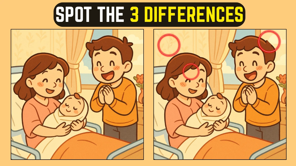 Spot the Difference: Can you Spot the 3 Differences in this Family Image in 10 Secs