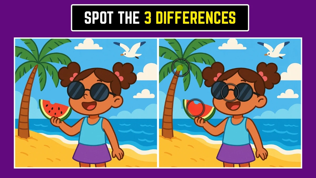 Spot the Difference: Can you Spot the 3 Differences in this Girl on the Beach Image in 10 Secs