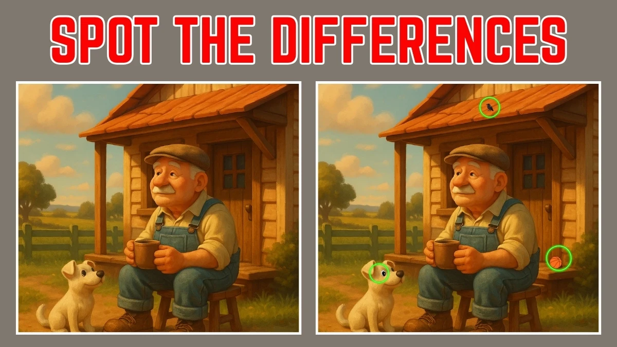 Spot The Difference: Do You Have an Eagle Eye? Test Your Observation Skills! Find 3 Differences in 15 Secs