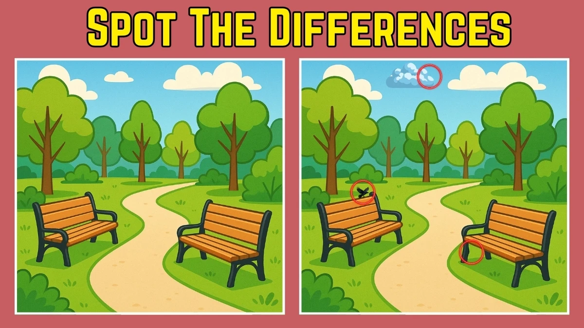 Spot The Difference: Do You Have an Eagle Eye? Test Your Observation Skills! Find 3 Differences in 15 Secs