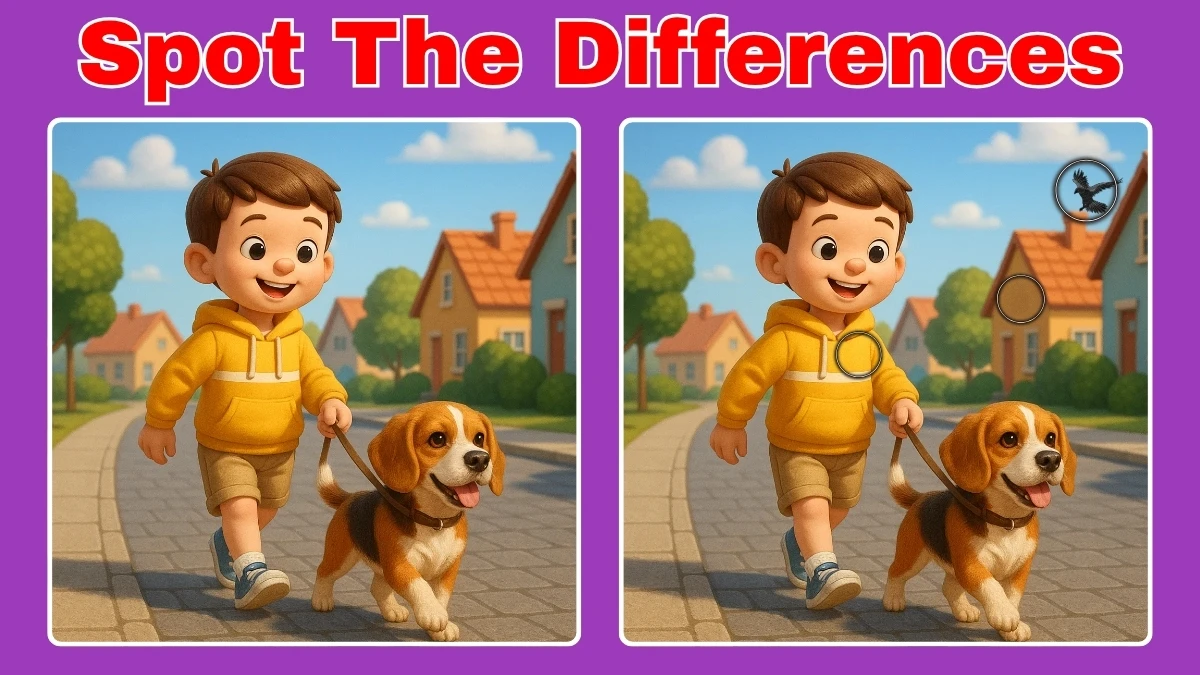 Spot the Difference: How attentive are you? Prove yourself by finding 3 differences in the Boy Walking with Dog picture in 10 Secs