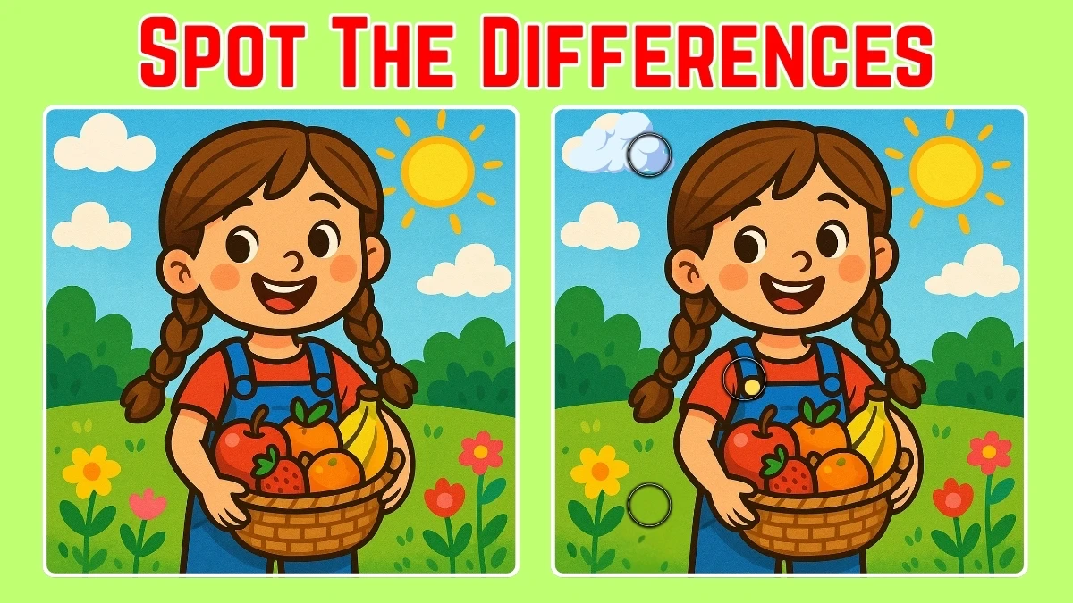 Spot the Difference: How attentive are you? Prove yourself by finding 3 differences in the Girl with Fruit Basket picture in 10 Secs