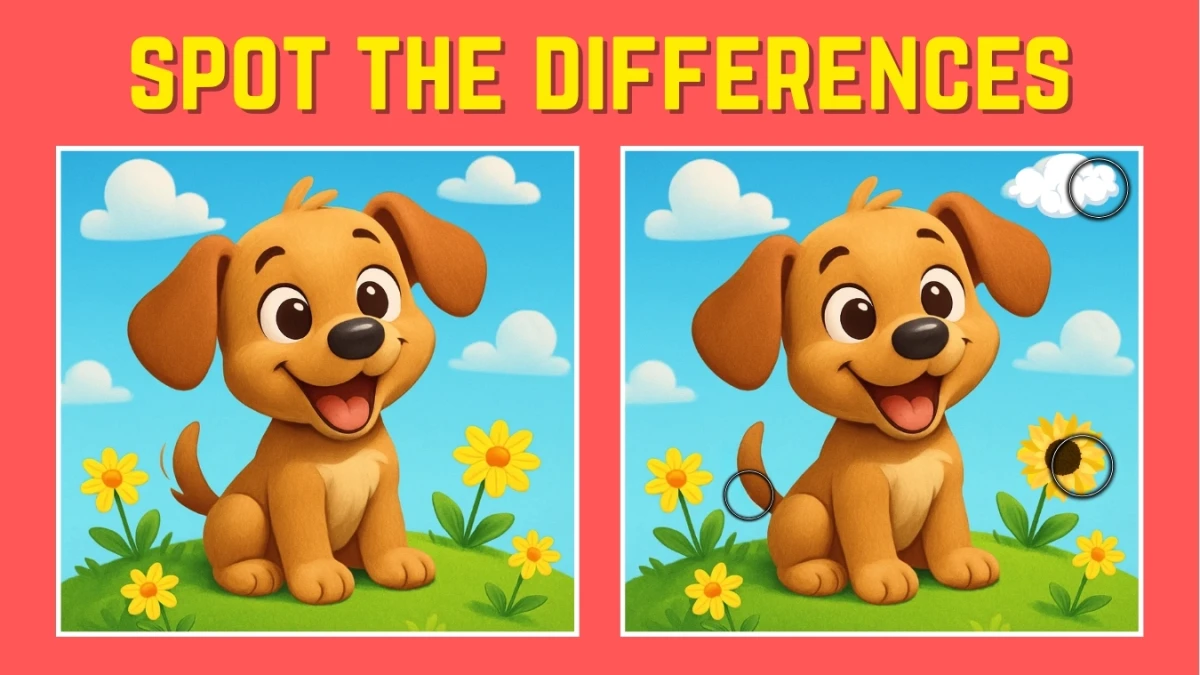 Spot the Difference: Only 1% of Visual Geniuses Can Find the 3 Differences – Can You Beat the Challenge?