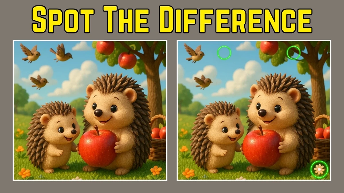 Spot the Difference: Only attentive individuals can spot 3 differences between the two pictures in 10 Secs