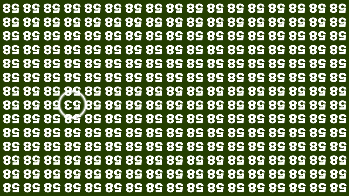 Optical Illusion IQ Test: Are You A Genius? Within 8 Seconds Spot The Inverted 53 among Inverted 58