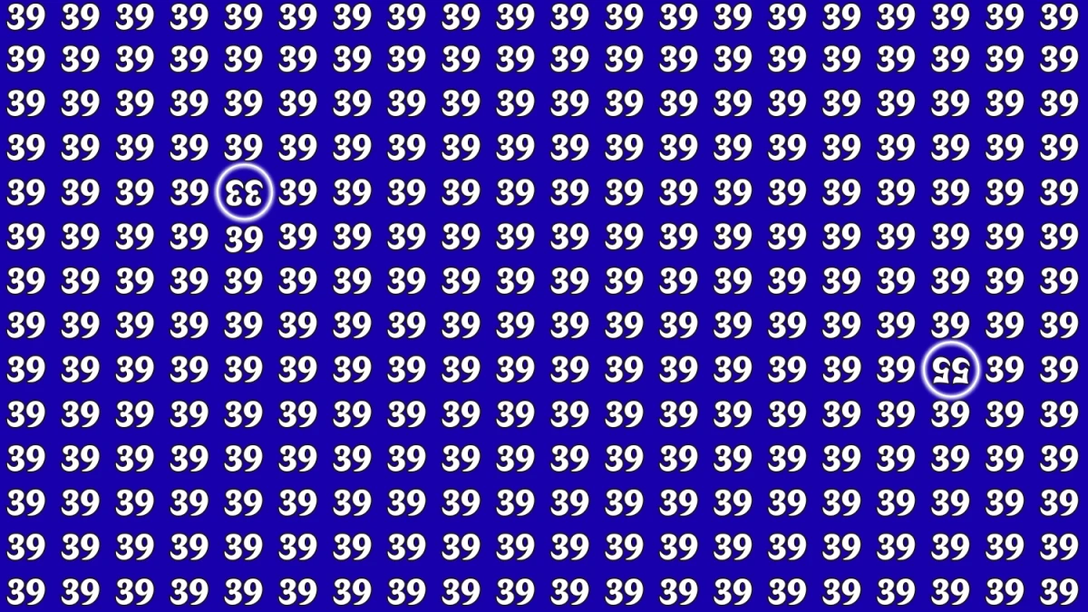 Optical Illusion: Within 8 Seconds Spot The Inverted Number 55 and 33 among 39.