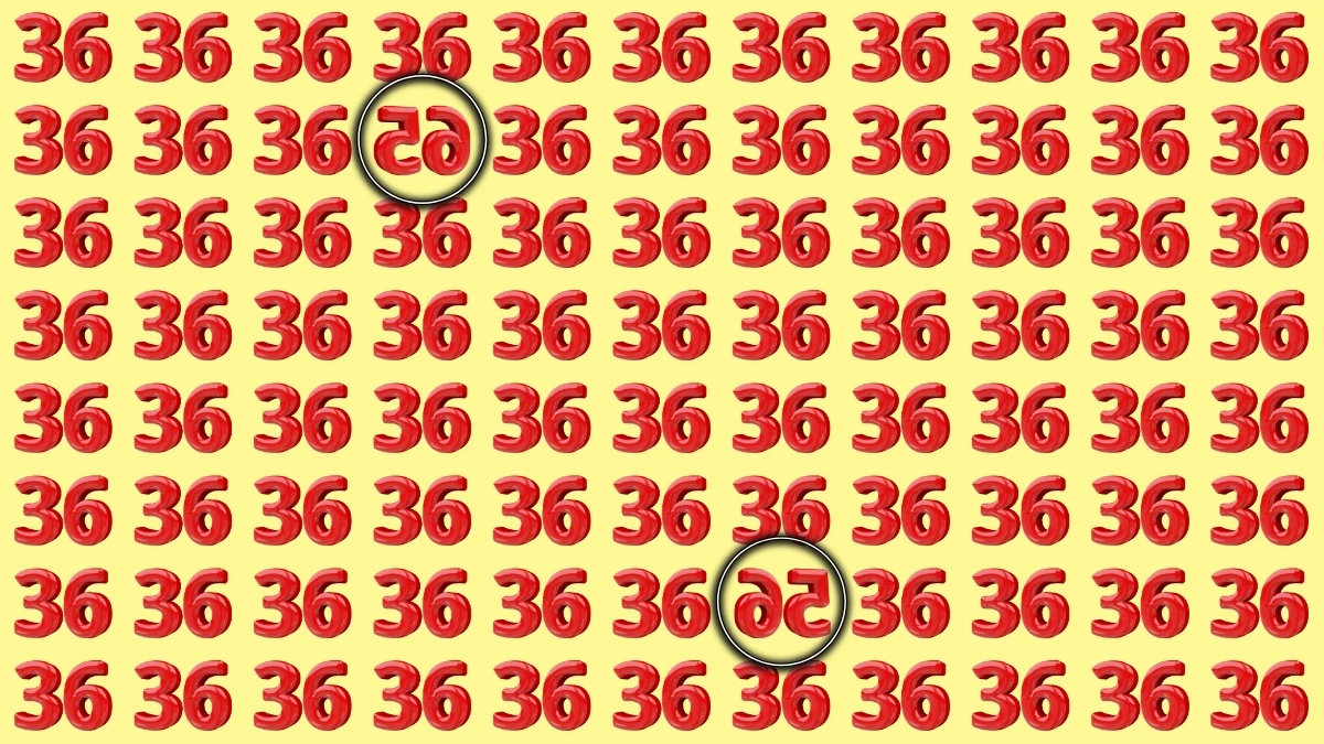 Optical Illusion: Within 8 Seconds Spot The Inverted Number 56 and 65 among 36