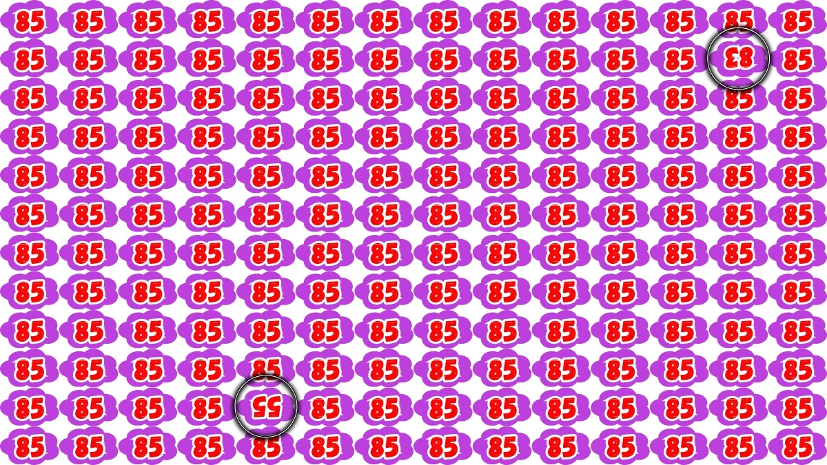 Optical Illusion: Within 8 Seconds Spot The Inverted Number 83 and 55 among 85
