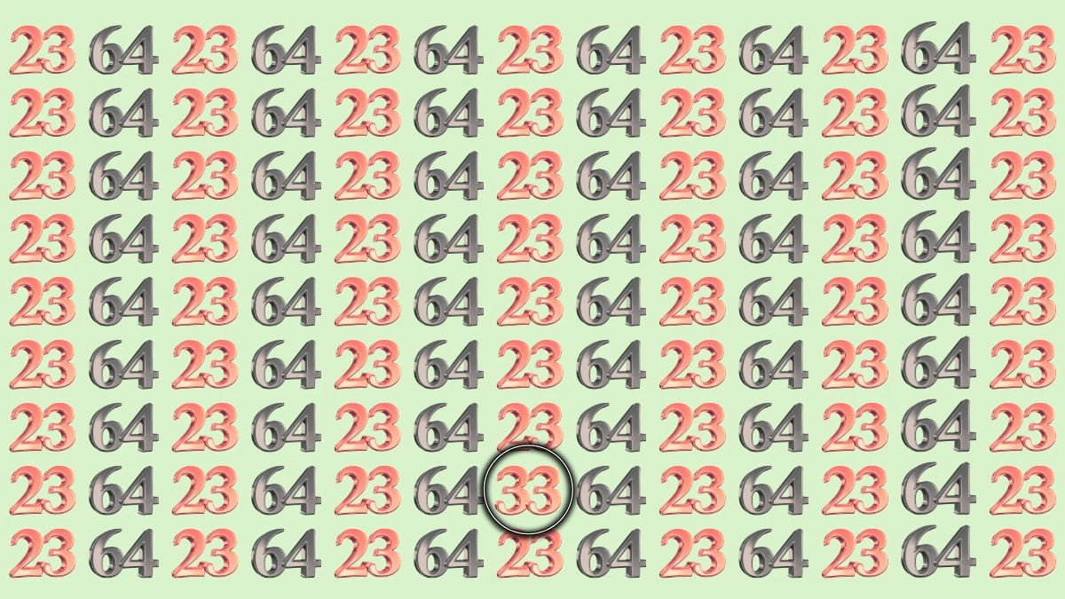 Optical Illusion: Within 9 Seconds Spot The Number 33 among 64 and 23