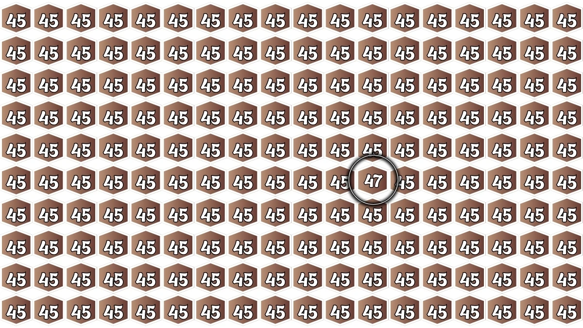 Optical Illusion Find it Out: Within 5 Seconds Spot The Number 47 among 45