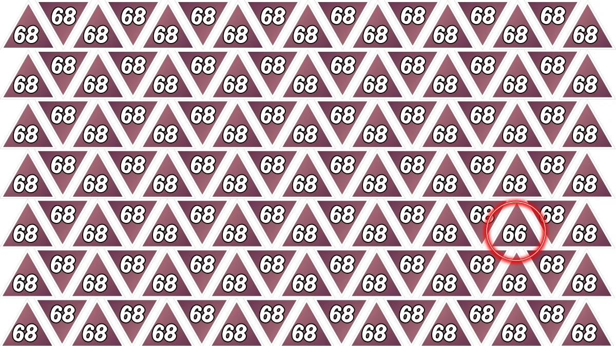Optical Illusion Find it Out: Within 5 Seconds Spot The Number 66 among 68