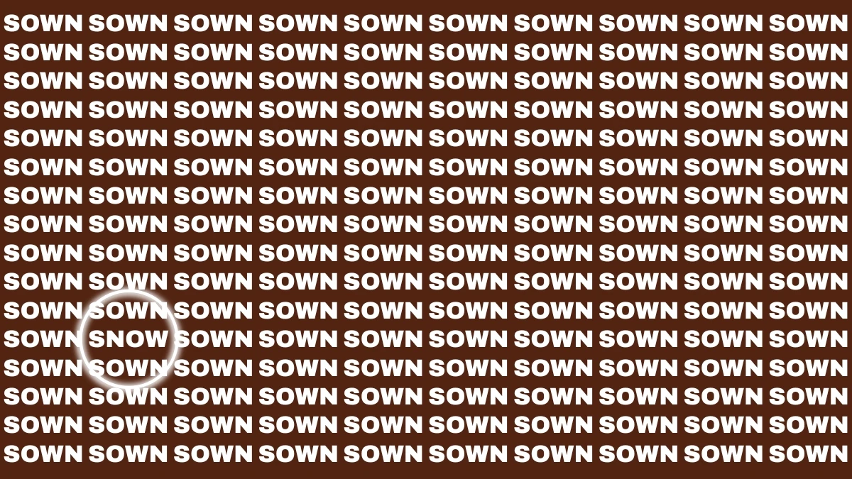 Visual Illusion: Within 7 Seconds Spot the Word SNOW among SOWN