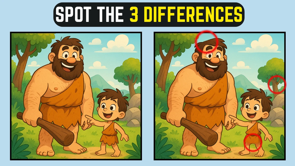 Test Your Sharp Eyes: Spot 3 Differences! Hard but Rewarding! Enjoy the Challenge of Spot the Differences!