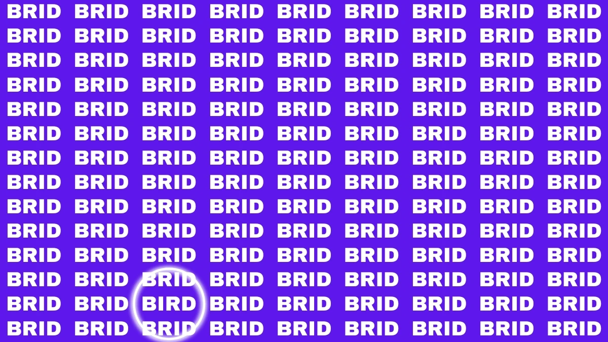 Visual Illusion: Within 6 Seconds Spot the Word BIRD among BRID