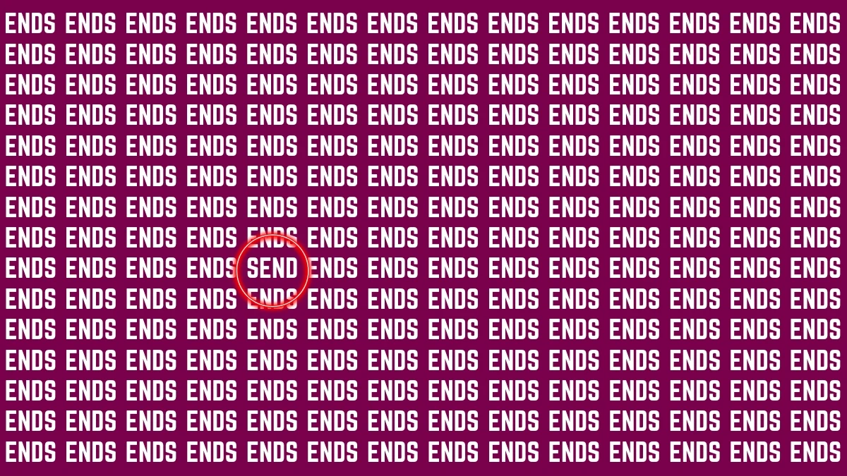 Visual Illusion: Within 7 Seconds Spot the word SEND among ENDS