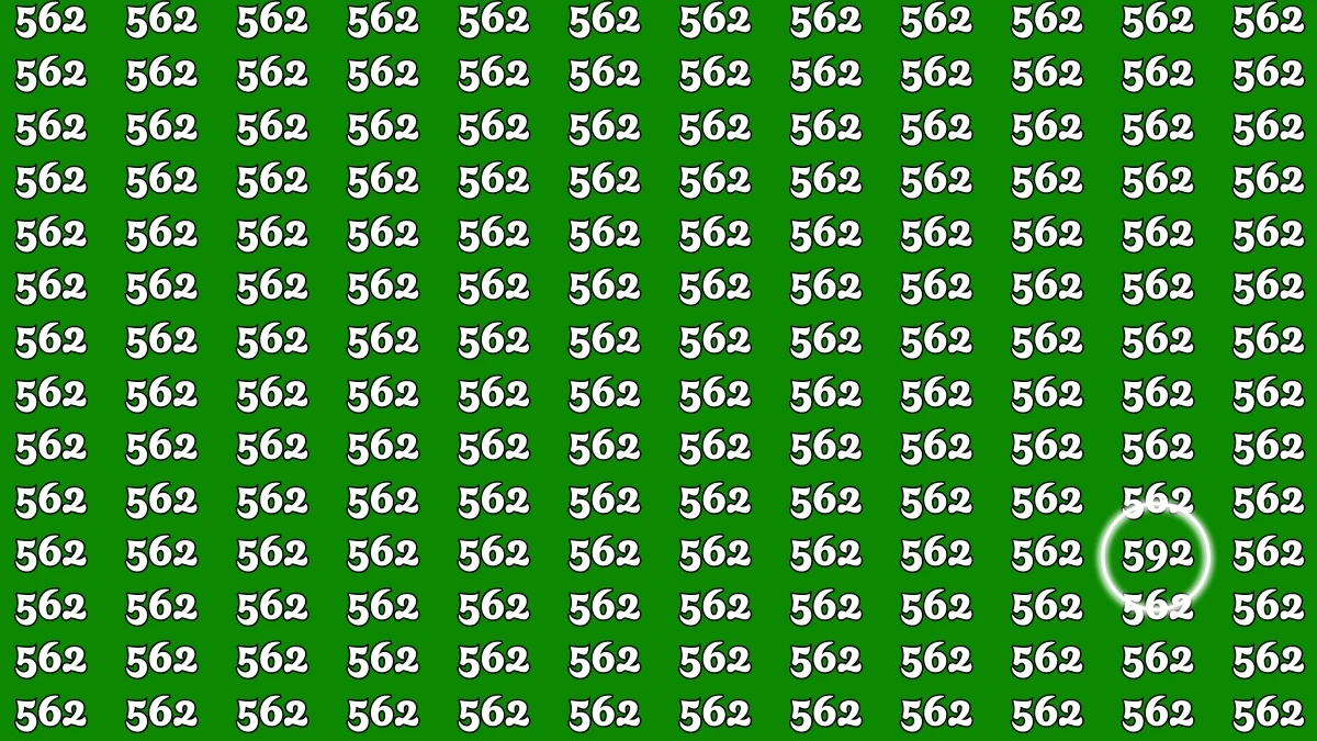 Only Sharp Eyes Can Spot 592 Hidden Among 562 in Just 7 Seconds — Are You One of Them?