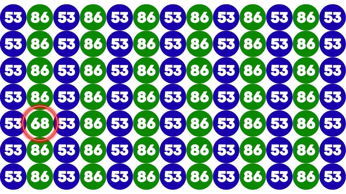 Only Sharp Eyes Can Spot the Hidden 68 Among 53 and 86 — Can You Find It in 7 Seconds?