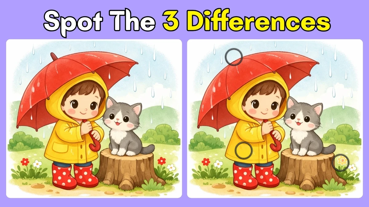 Can You Spot 3 Differences in This Rainy Day Scene Within 13 Seconds?